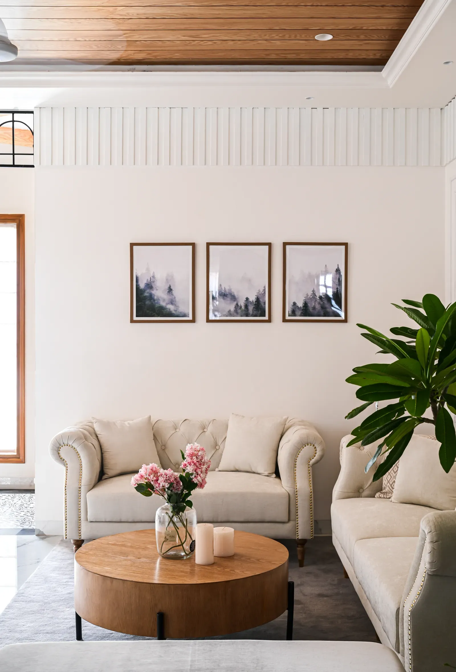 European-style luxury homes in Chandigarh