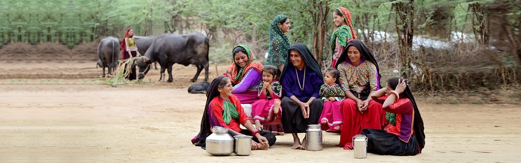 Indian Dairy Industry How Women Are Changing India’s Milk Economy