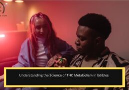 Understanding the Science of THC Metabolism in Edibles`