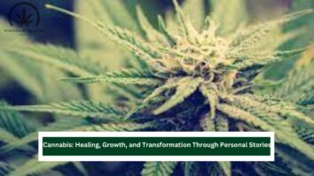 Cannabis Healing, Growth, and Transformation Through Personal Stories
