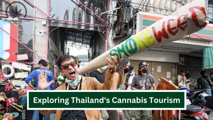 Cannabis Tourism Thailand