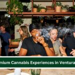 Premium Cannabis Experiences in Ventura, CA
