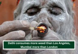 Delhi consumes more weed than Los Angeles, Mumbai more than London