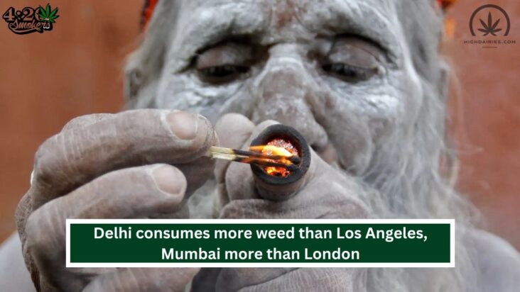Delhi consumes more weed than Los Angeles, Mumbai more than London