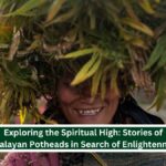 Himalayan Potheads Hippie Trail