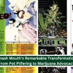 Smash Mouth, Pot Pilfering, Pro-Legalization Advocacy, "Stoned" Anthem, Marijuana, Band's Journey, Cannabis Culture, Evolution, Music Industry
