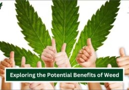 Benefits of Weed