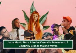 Latin music and cannabis