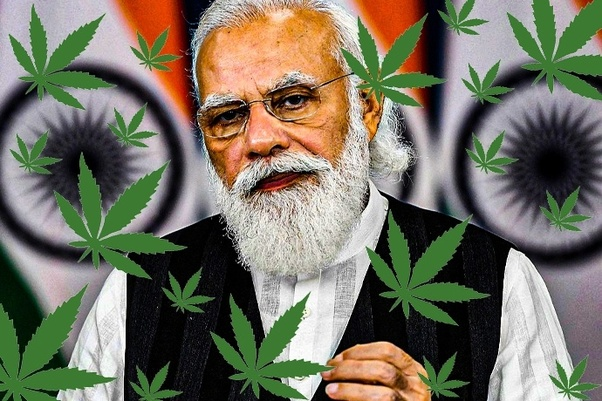 Exploring the Weed Legalization in India