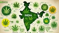 Names for Cannabis in India