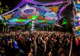 Top 10 Techno & Psytrance Parties in India
