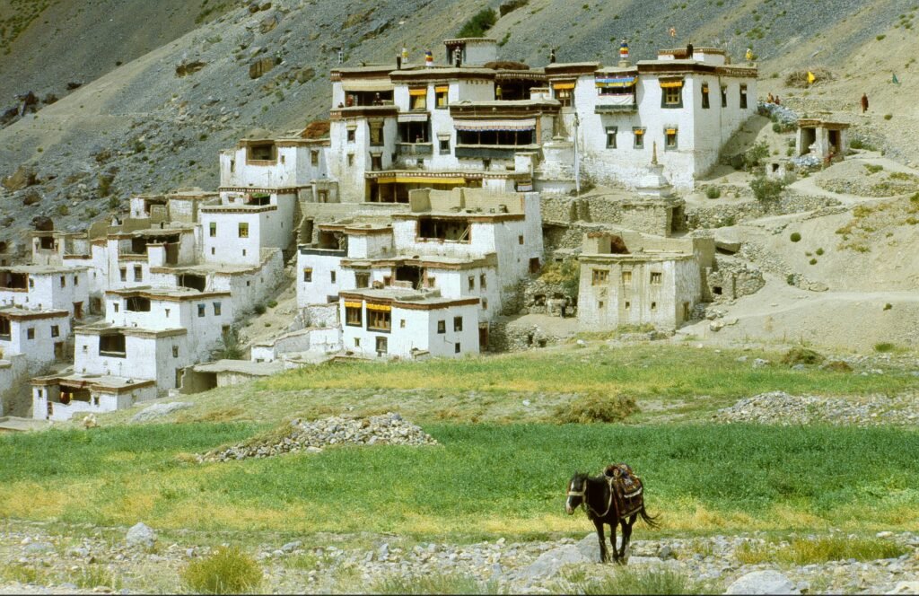 Lingshed Village Zanskar